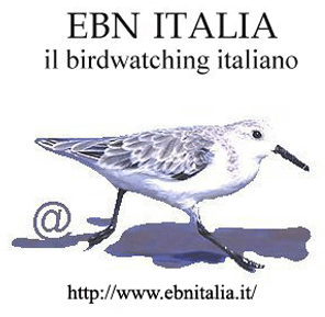 EBN Italia
