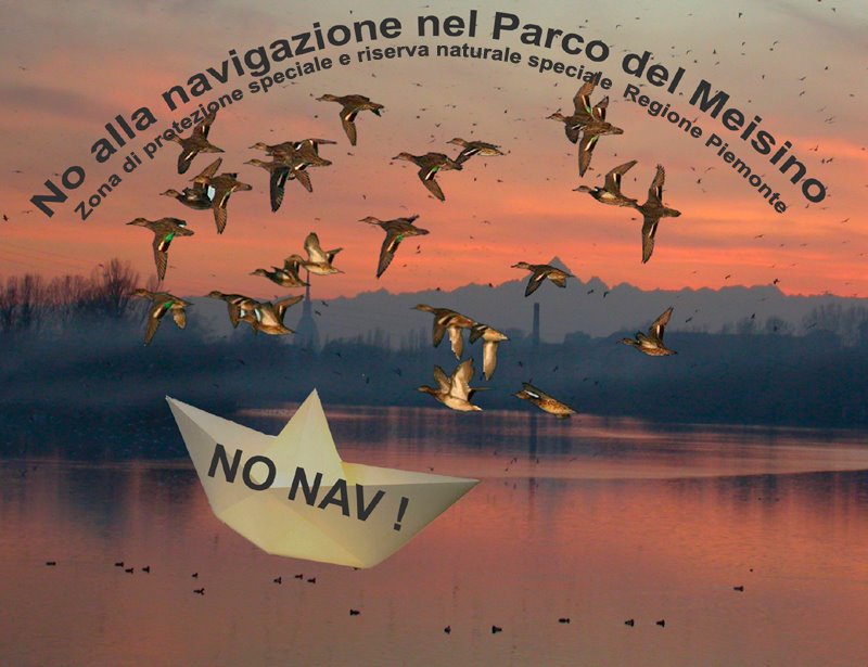 La Diga sul Po non si fa più!