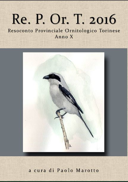Taccuino da campo