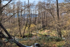 torino_birdwatchingmandria22024