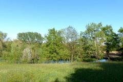 Primavera al Meisino