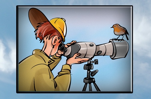 Le serate del Birdwatching