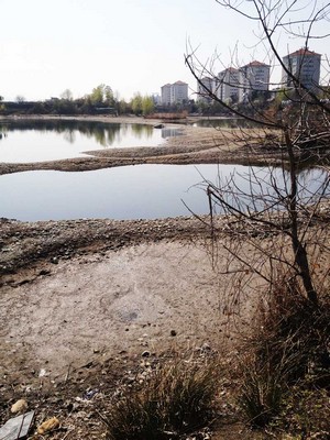 Il degrado ambientale dei Laghi della Falchera