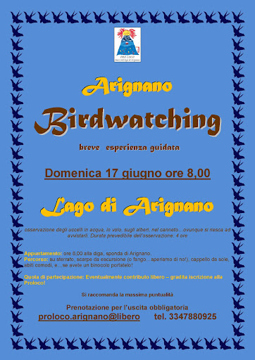 Birdwatching ad Arignano