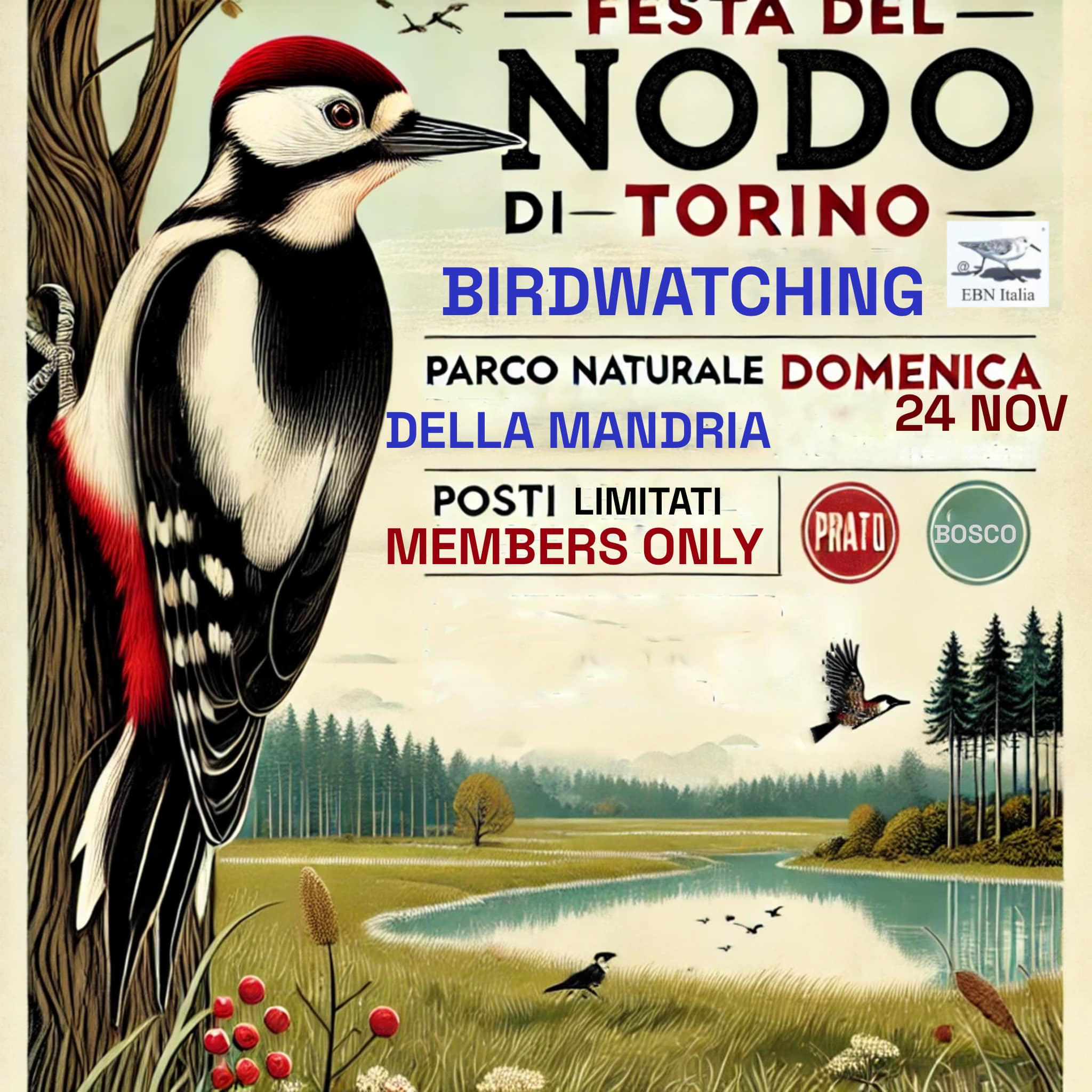 Torino Birdwatching - EBN Italia