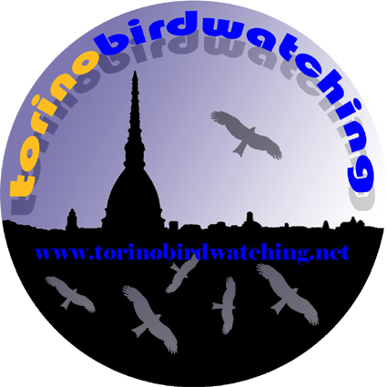 Torino Birdwatching – EBN Italia
