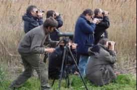 Corso base di birdwatching 2014