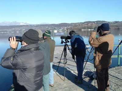 Laghi di Viverone