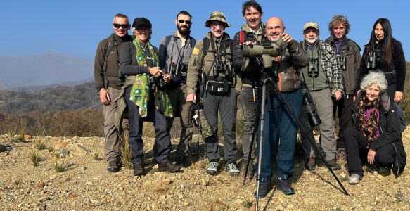 Festa di Torino birdwatching 2025